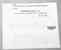 Image Associated With the Occurence